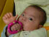 2004_1105D.jpg (37621 oCg)