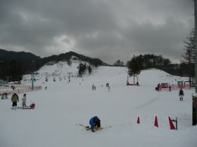 JXL[2013
