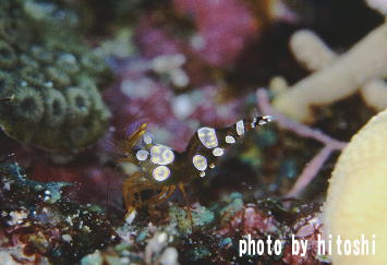 �C�\�M���`���N���G�r