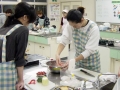 DSC04233.jpg