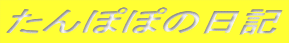 ۂۂ̓L