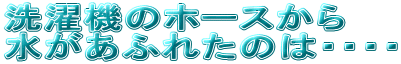 @̃z[X
ӂꂽ̂́EEEE