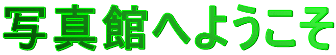 ʐ^قւ悤