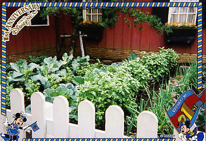 Photo: Aunt Peg's Vegetable Garden, Tokyo DisneySea