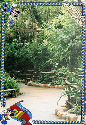 Photo: The Jungle, Tokyo DisneySea