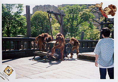 Photo: Rainforest Monkeys 1, Tokyo DisneySea