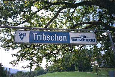 Photo: Tribschen