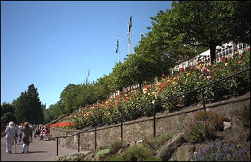 Photo: West Princes Street Gardens