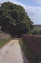 The Bronte Way 1