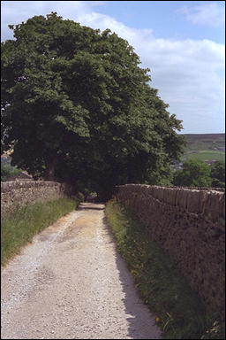 Photo: The Bronte Way 1