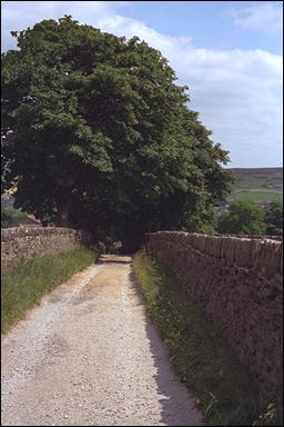 Photo: The Bronte Way 1