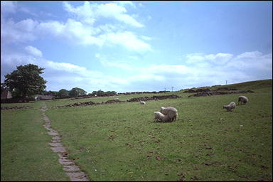 Photo: The Bronte Way 2