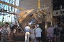 Apollo 11 Command Module Columbia