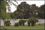 Go "Topiary, Bang Pa-In Summer Palace"