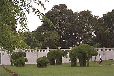 Photo: Topiary, Bang Pa-In Summer Palace
