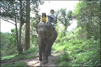 Photo: Elephant Ride