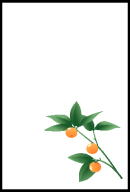 010-���񂩂�