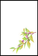015-�ނ炳��������