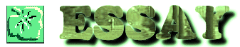 �G�b�Z�C