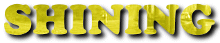 �V���C�j���O