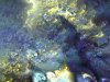 ap1052.jpg 97KB 640X480