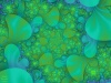 mimosa.jpg 93KB 640X480