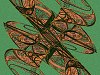 ufa0002.jpg 170KB 480X620