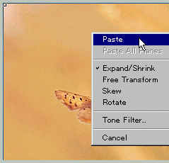 STEP 35