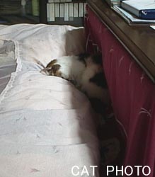 ԂɁ`EEEZZZ
