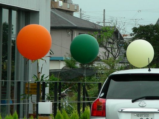 �ڂ������o���[��