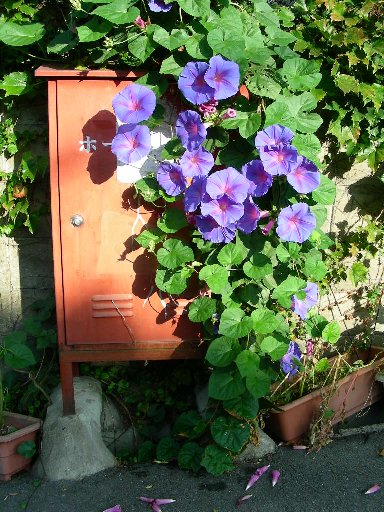 ���m�A�T�K�I