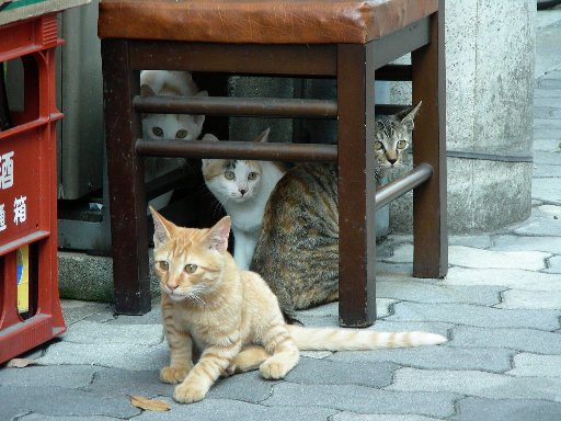 �q�l�R�͒��l�R��