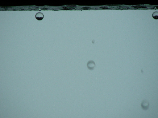 �悭�~��܂���