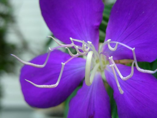 �V�R���m�{�^��