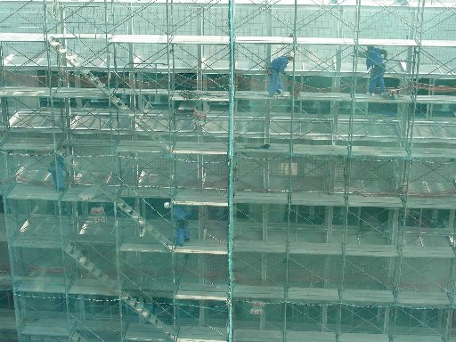 ���n���ٔ������猩�����H�����̃r��