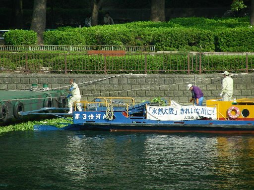 �{�^���E�L�N�T���