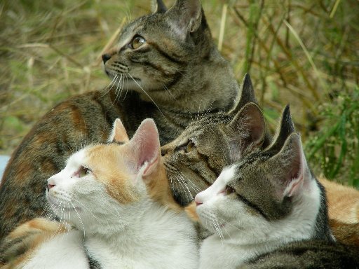 ���l�R�����l�R��