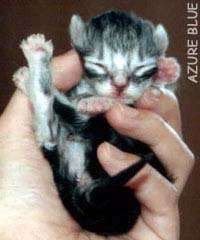 ����˂���