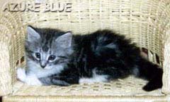 �������A���킢���H