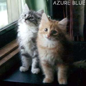 ����Ȃ�ɂ�����