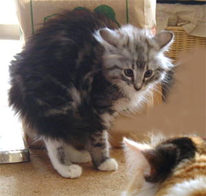 ����[�A�������΂����H�I