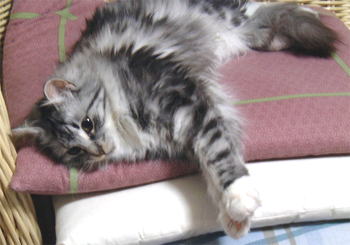 ������ƁA�ӂ������͂�߂ĂˁB�˂Ă�񂾂���B