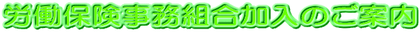 �J���ی������g�������̂��ē�
