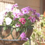 ����y�[�W����I