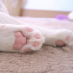 �ɂ����イ�L�b�N�I