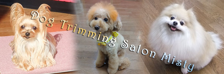 DOG SALON MISTY：帯広市　トリミングサロン　ミスティ