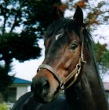 �q�V�A�P�{�m