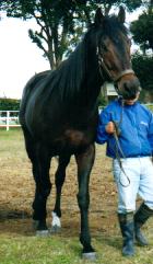 �q�V�A�P�{�m