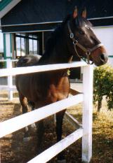 �q�V�A�P�{�m