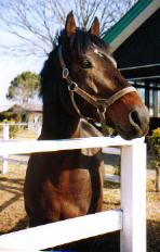 �q�V�A�P�{�m